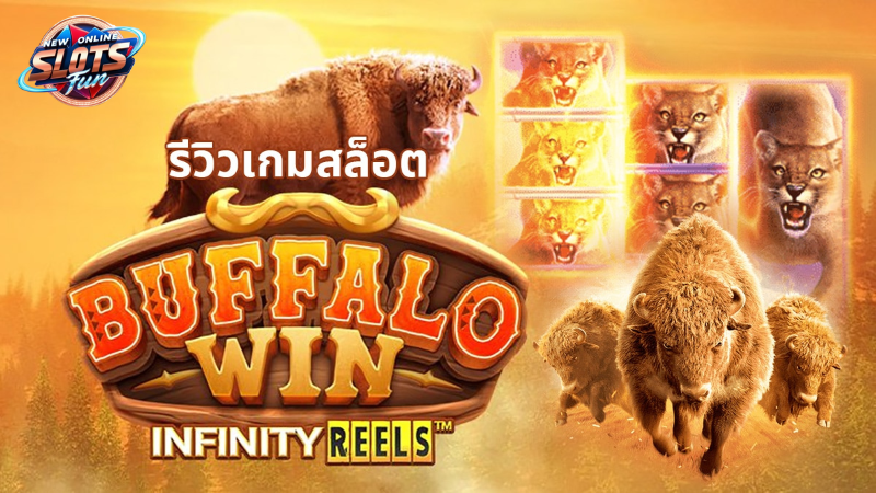 ภาพเกมสล็อต Buffalo Win จาก PG Slot แสดงฉากทุ่งหญ้าแพรรีและสัญลักษณ์ควายที่มีการขยายรีลและตัวคูณรางวัล